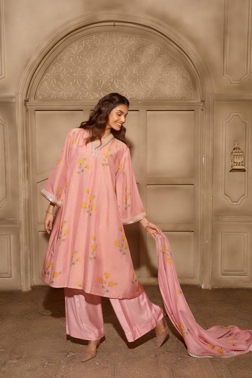 Noor-E-Bahar Pink Set – Label DKI
